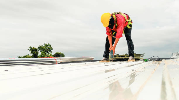 Best Chimney Flashing Repair  in Gilmer, TX