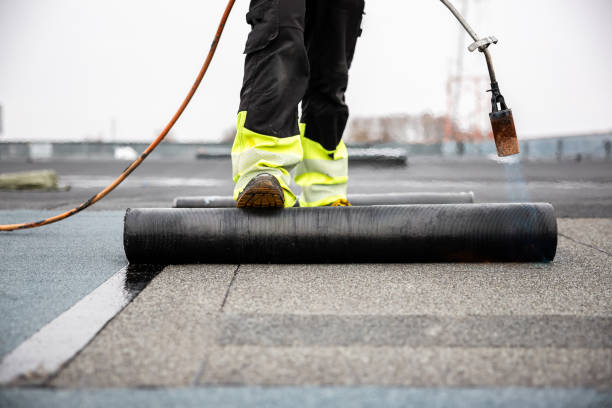 Best Gutter Replacement  in Gilmer, TX