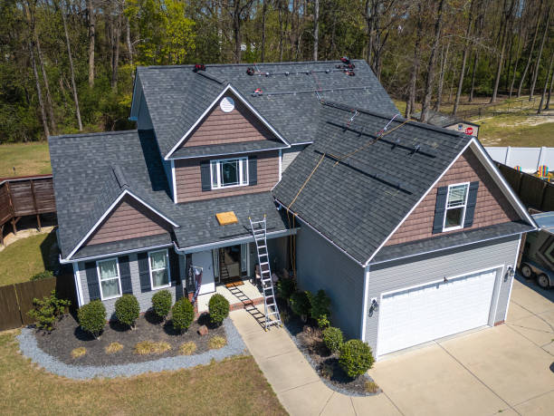 Best Roof Moss and Algae Removal  in Gilmer, TX
